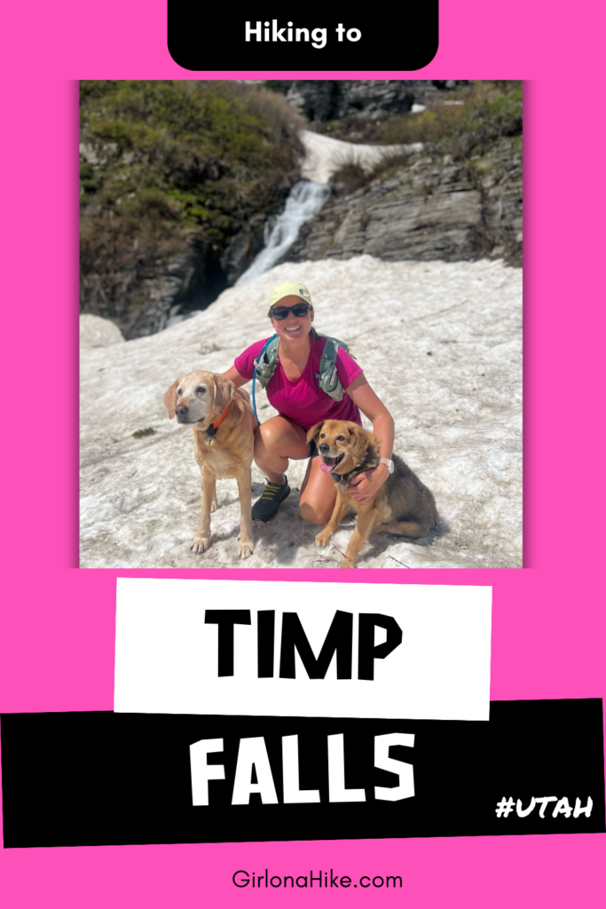 Hiking to Timp Falls, Aspen Grove Trail