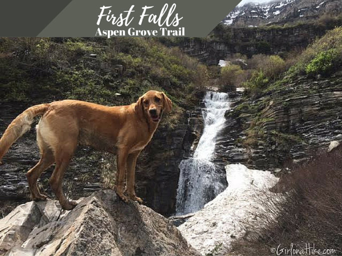 First Falls, Aspen Grove Trail, Hiking in Utah with Dogs