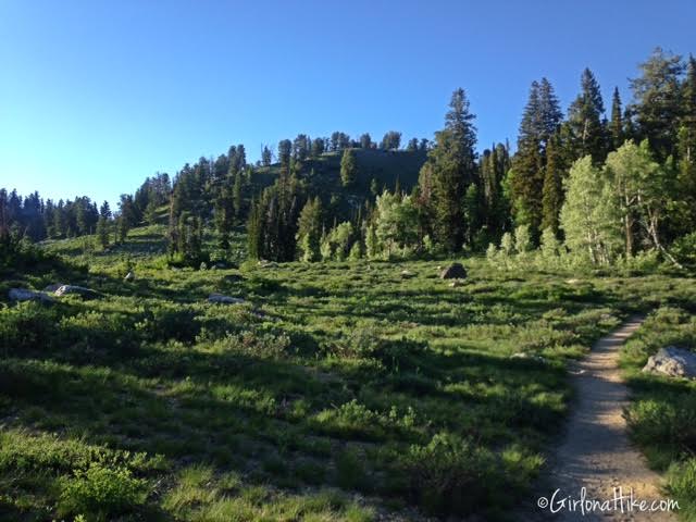 Backpacking to White Pine Lake, Logan Canyon, Utah