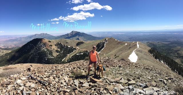 Hiking Mount Ellen & Mt. Ellen Peak