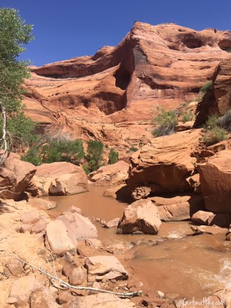 Backpacking Coyote Gulch, Utah