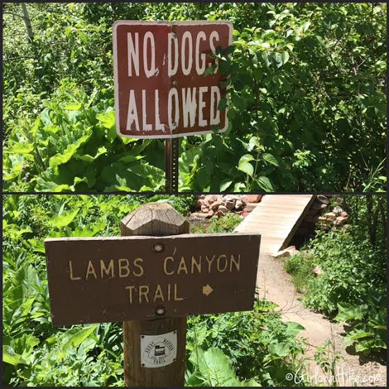 Hiking Lambs Canyon, Utah