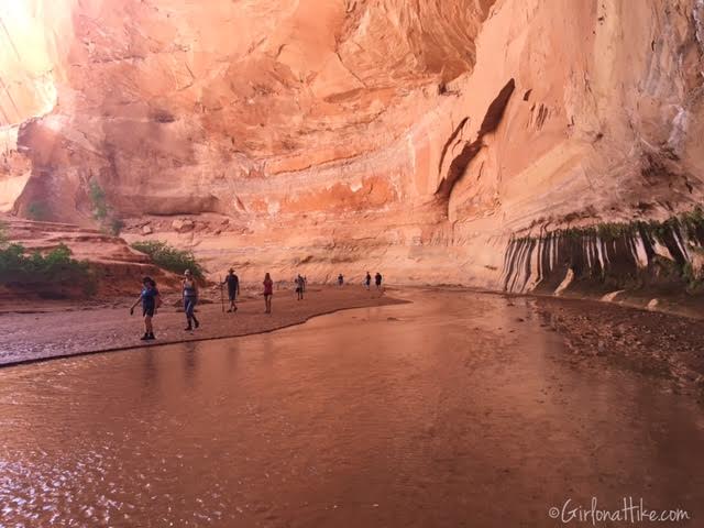 Backpacking Coyote Gulch, Utah