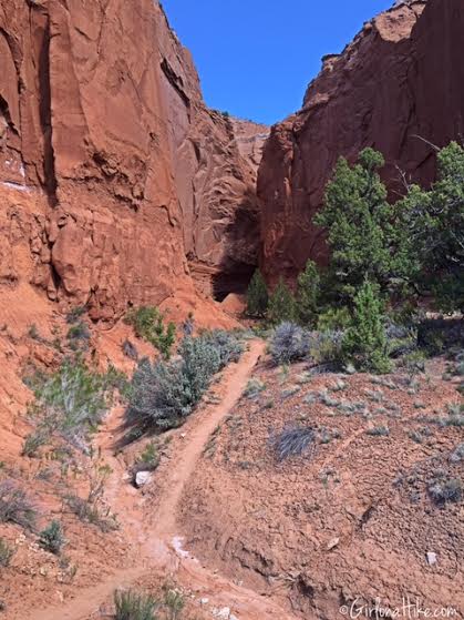 Kodachrome Basin State Park, Panorama Trail