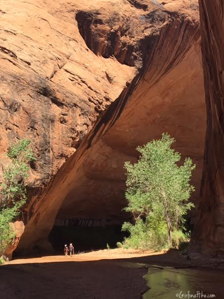 Backpacking Coyote Gulch, Utah