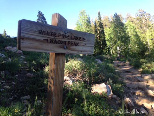 Backpacking to White Pine Lake, Logan Canyon, Utah