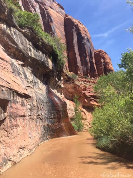 Backpacking Coyote Gulch, Utah