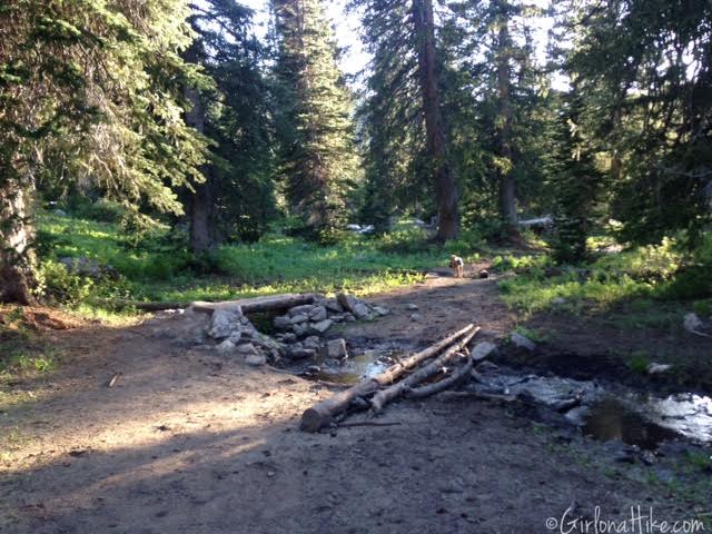 Backpacking to White Pine Lake, Logan Canyon, Utah