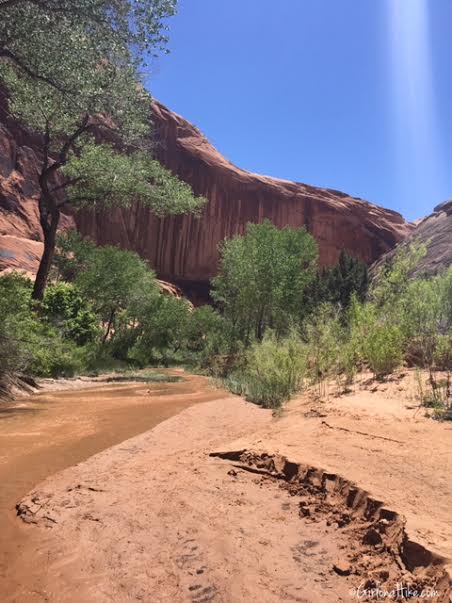 Backpacking Coyote Gulch, Utah