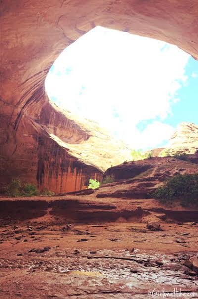 Backpacking Coyote Gulch, Utah