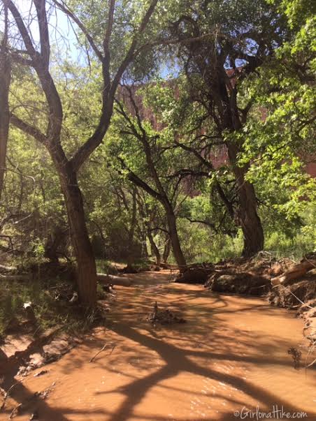 Backpacking Coyote Gulch, Utah