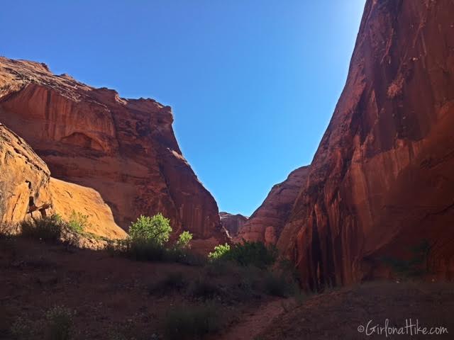 Backpacking Coyote Gulch, Utah