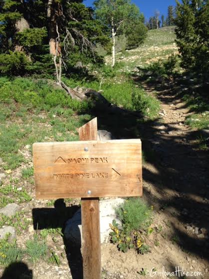 Hiking to Naomi Peak, Logan Canyon, Utah