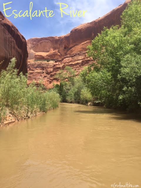 Backpacking Coyote Gulch, Utah