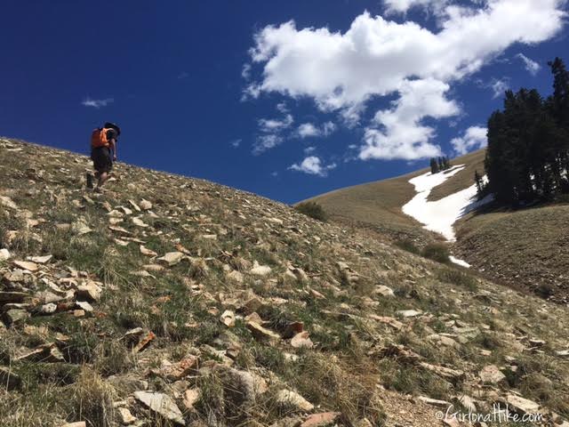 Hiking Mount Ellen & Mt. Ellen Peak