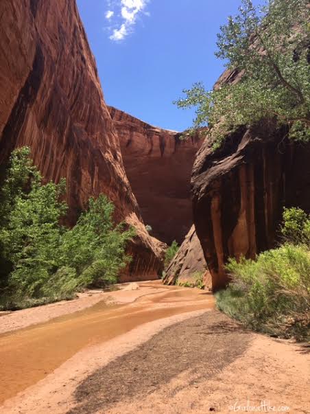 Backpacking Coyote Gulch, Utah