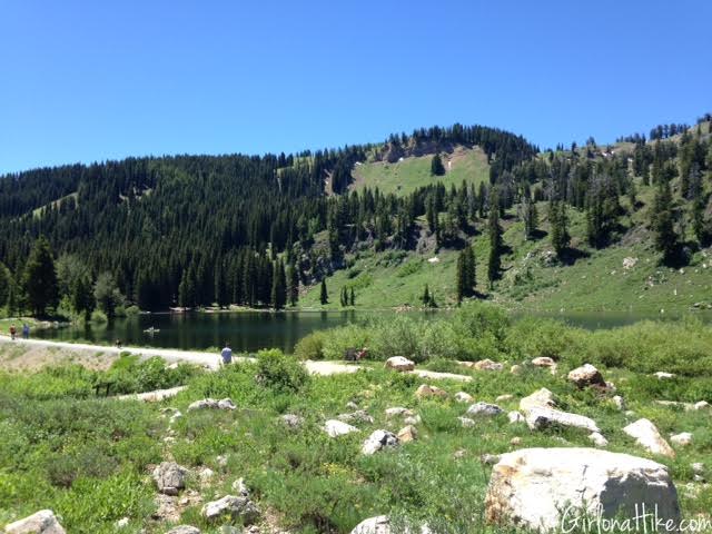 Tony Grove Lake, Utah, Hiking in Utah with Dogs