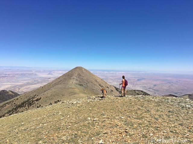 Hiking Mount Ellen & Mt. Ellen Peak