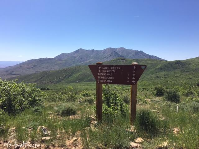 Hiking Mt. Pennell, Henry Mountains, Utah