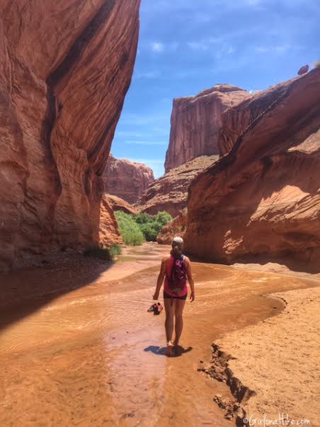 Backpacking Coyote Gulch, Utah