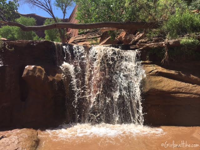 Backpacking Coyote Gulch, Utah