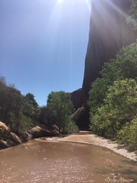 Backpacking Coyote Gulch, Utah