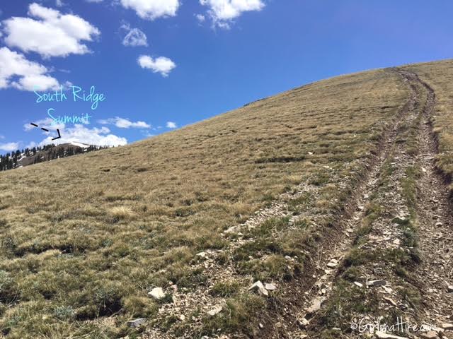 Hiking Mount Ellen & Mt. Ellen Peak