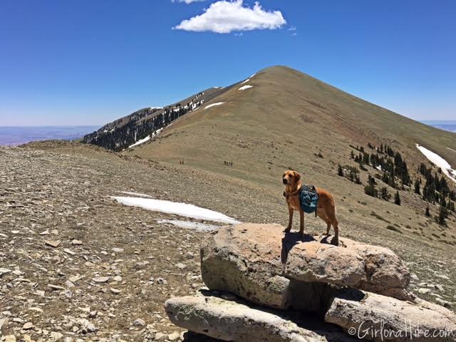 Hiking Mount Ellen & Mt. Ellen Peak