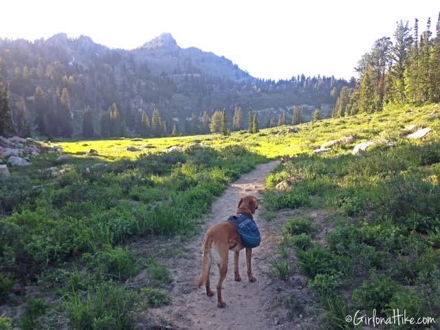 Backpacking to White Pine Lake, Logan Canyon, Utah