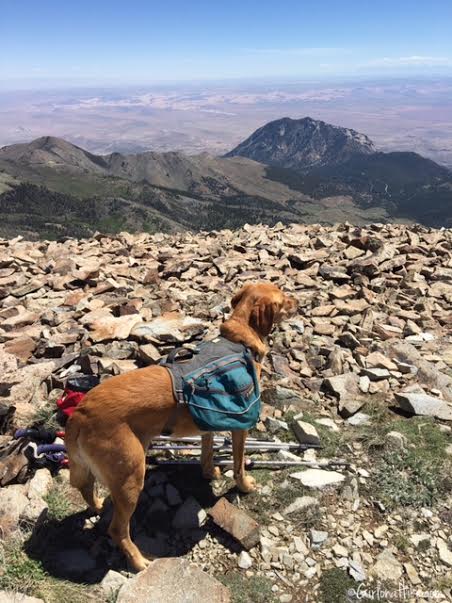 Hiking Mount Ellen & Mt. Ellen Peak