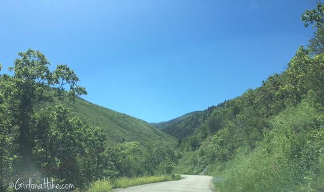 Hiking Lambs Canyon, Utah