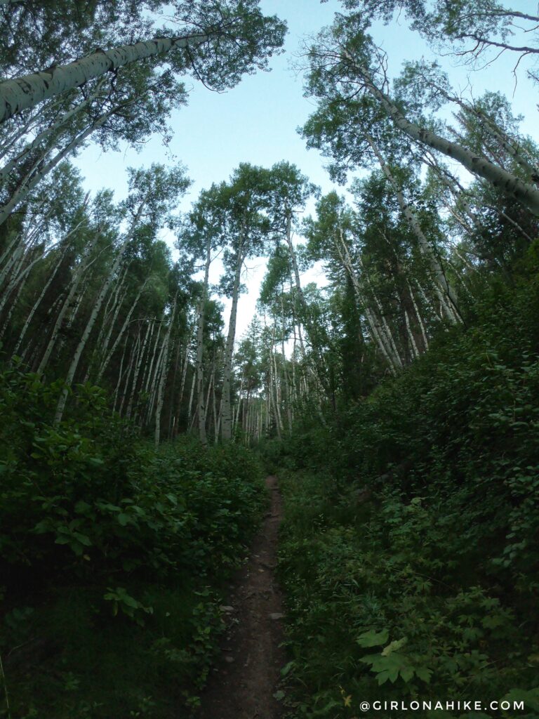 Hiking Lambs Canyon