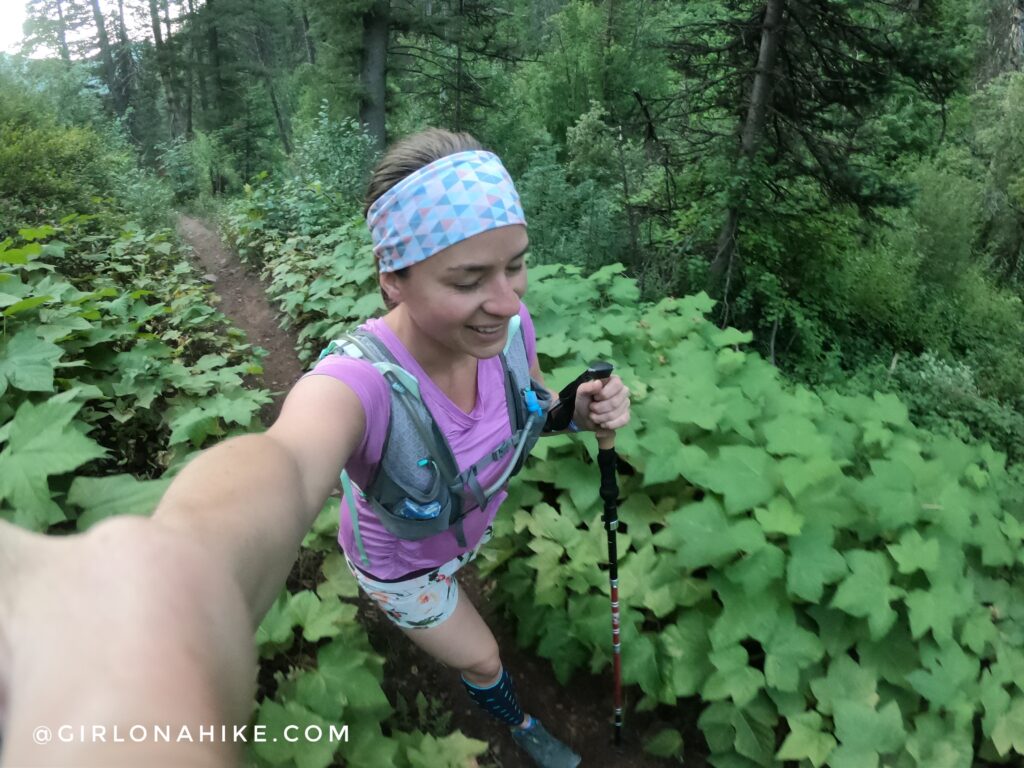 Hiking Lambs Canyon