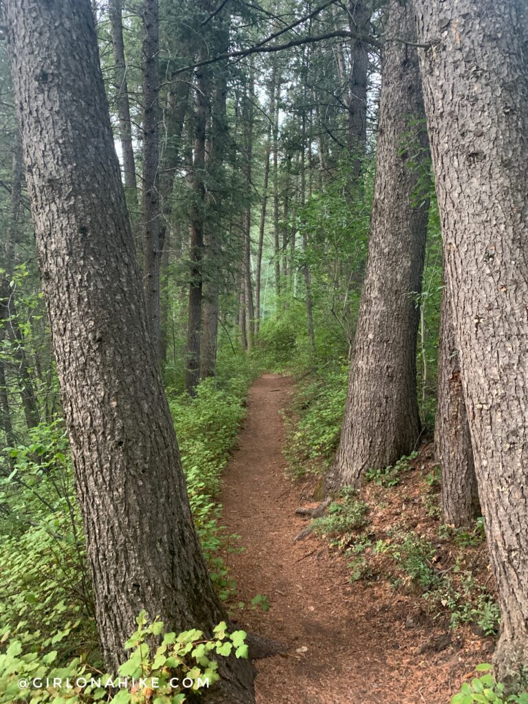 Hiking Lambs Canyon