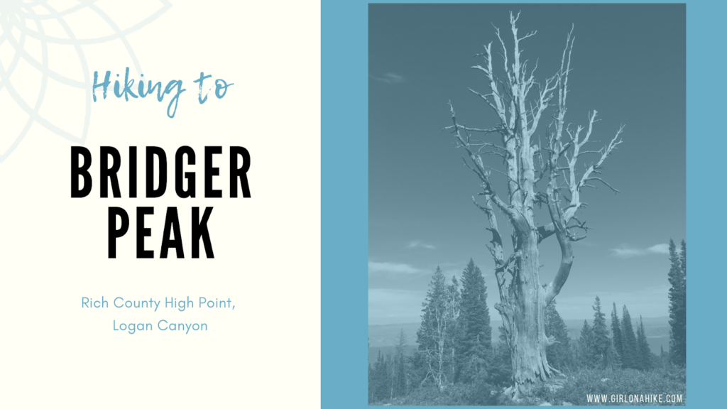 Hike to Bridger Peak, Rich County High Point