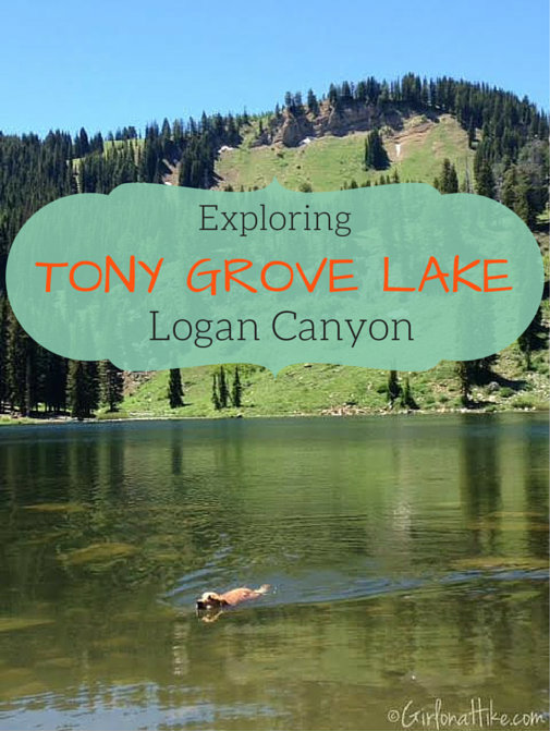 Tony Grove Lake, Utah, Hiking in Utah with Dogs