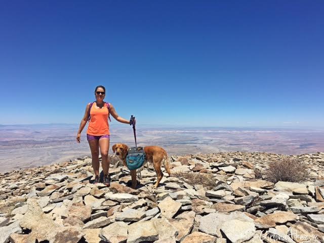 Hiking Mount Ellen & Mt. Ellen Peak