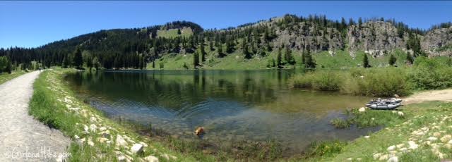 Tony Grove Lake, Utah, Hiking in Utah with Dogs