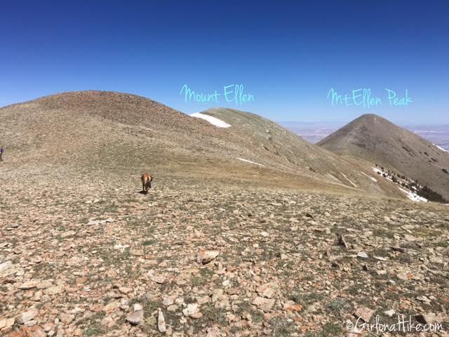 Hiking Mount Ellen & Mt. Ellen Peak