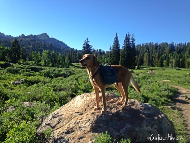 Backpacking to White Pine Lake, Logan Canyon, Utah