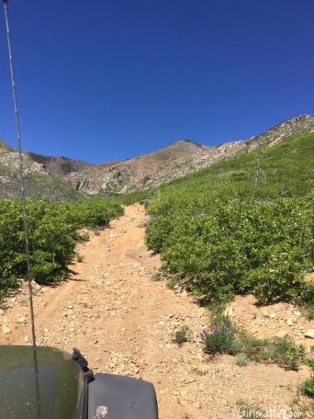 Hiking Mt. Pennell, Henry Mountains, Utah