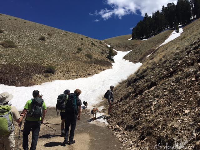 Hiking Mount Ellen & Mt. Ellen Peak