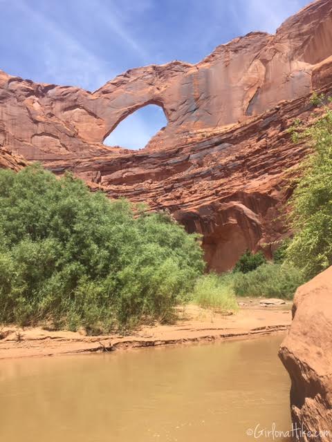 Backpacking Coyote Gulch, Utah