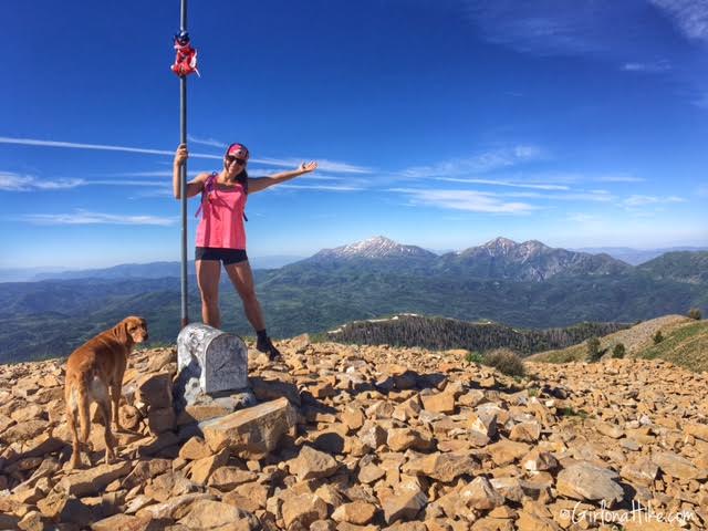 Hiking Santaquin Peak, Wasatch Peak Baggers