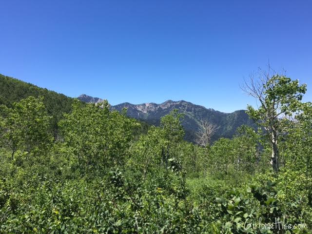 Hiking Lambs Canyon, Utah