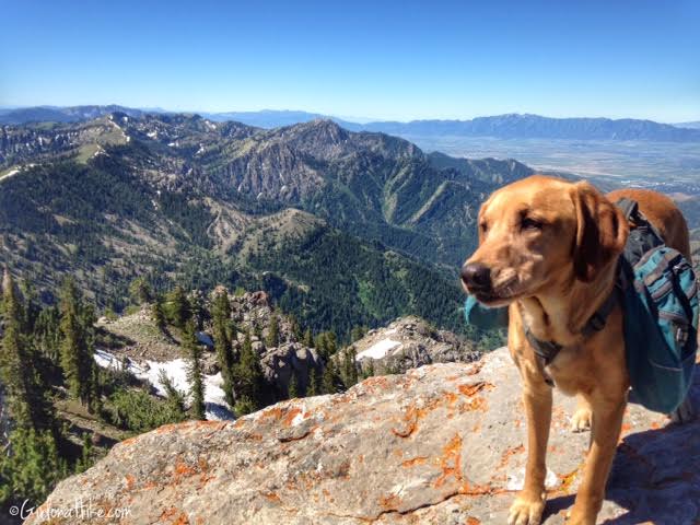 Hiking to Naomi Peak, Logan Canyon Girl on a Hike