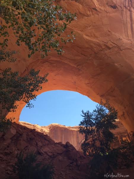 Backpacking Coyote Gulch, Utah