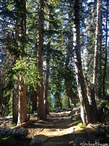 Backpacking to White Pine Lake, Logan Canyon, Utah