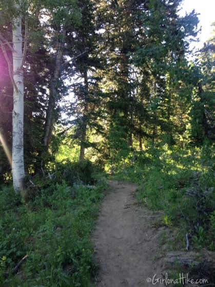 Backpacking to White Pine Lake, Logan Canyon, Utah