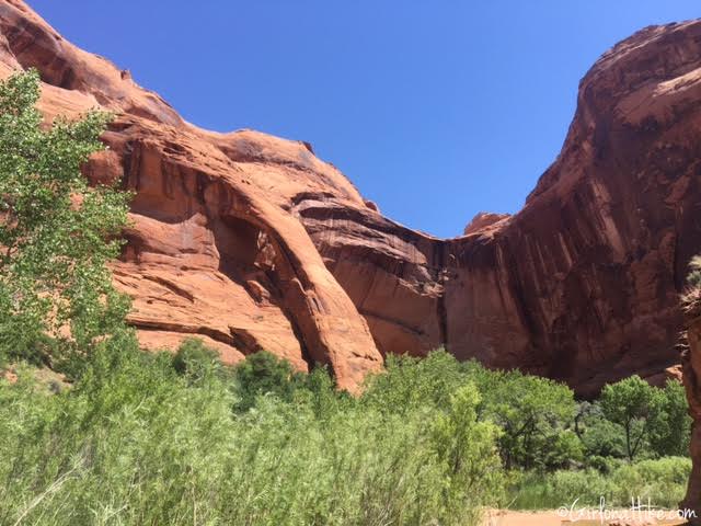 Backpacking Coyote Gulch, Utah